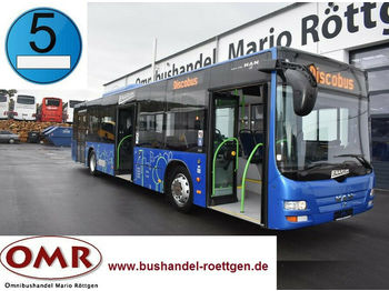 Městský autobus MAN A 21 Lion´s City / O 530 / A 20 / 3 türig /Klima: obrázek 1