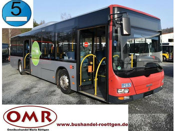 Městský autobus MAN A 37 Lion´s City/A20/A21/530/Citaro: obrázek 1