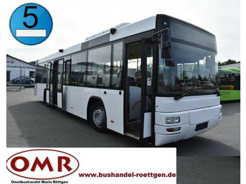 Městský autobus MAN A 78 Lion´s City/Neu Lackiert: obrázek 1