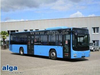 Městský autobus MAN Lions City, A78, Euro 6, A/C, 43 Sitze: obrázek 1