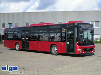 Městský autobus MAN Lions City Ü, A20, Euro 6, 41 Sitze: obrázek 1