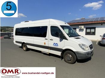 Minibus, Mikrobus Mercedes-Benz Sprinter Transfer 55/ Euro 5/ Original-KM: obrázek 1