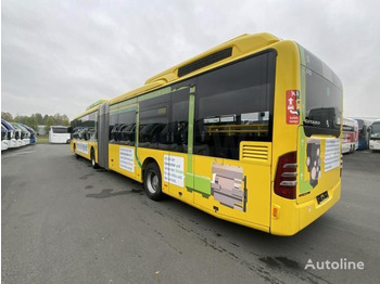 Autobus příměstský Mercedes Citaro O 530 GHD: obrázek 3