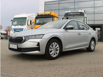 Osobní auto  Skoda 2,0TDI 85KW SELECTION