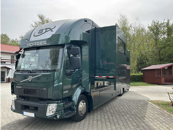 Auto na přepravu koní  Volvo STX FL, 6 PEOPLE, 5 HORSES, CAMERA, 2X TAIL LIFT