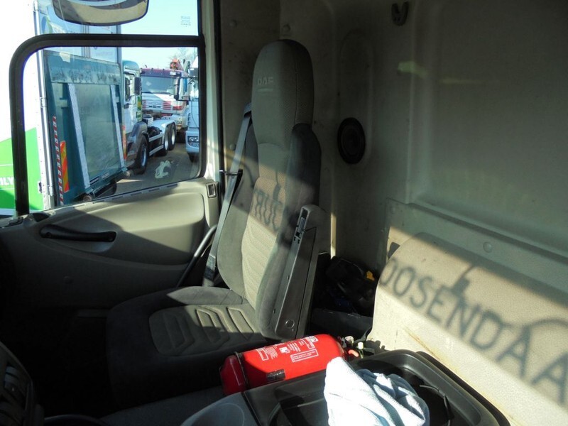 Chladírenský nákladní automobil DAF CF 75.250 + Euro 5 + Carrier Supra 950 Silent + Dhollandia Lift: obrázek 17