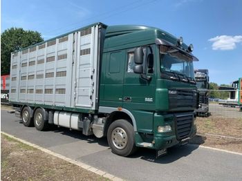 Přepravník zvířat DAF XF105/410 Spacecup Menke 4 Stock: obrázek 1