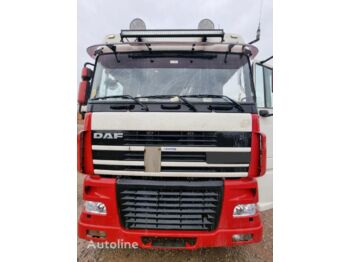 Plachtový nákladní auto DAF XF 95.480: obrázek 1
