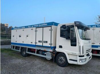 Chladírenský nákladní automobil Iveco 90E18 Eurocargo Eiswagen: obrázek 1