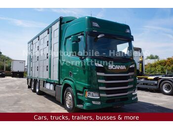 Přepravník zvířat Scania R500 LL HighLine *4Stock-Menke/Retarder/LenkLift: obrázek 1