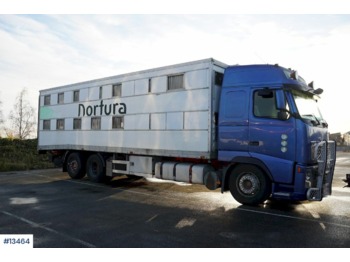 Přepravník zvířat Volvo FH12: obrázek 1