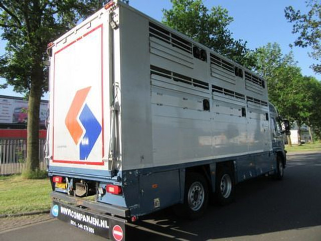 Přepravník zvířat Volvo FM 9: obrázek 18