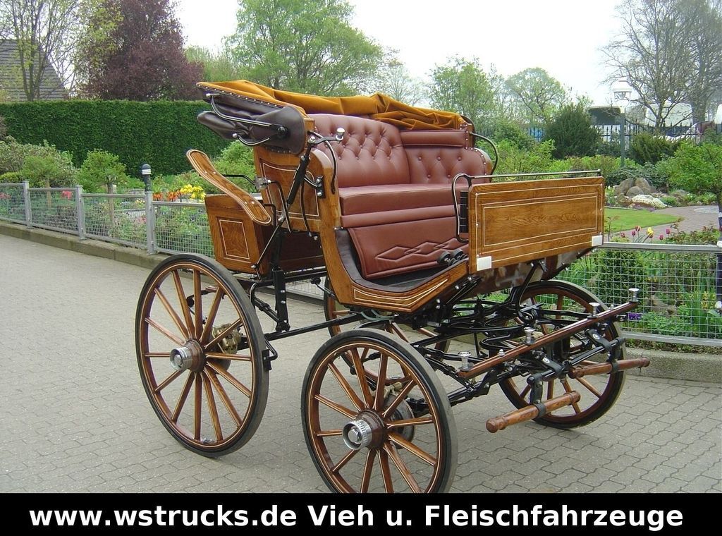Přívěs na přepravu zvířat Exclusiver Doktorwagen Inzahlungn. v. Pferden: obrázek 4