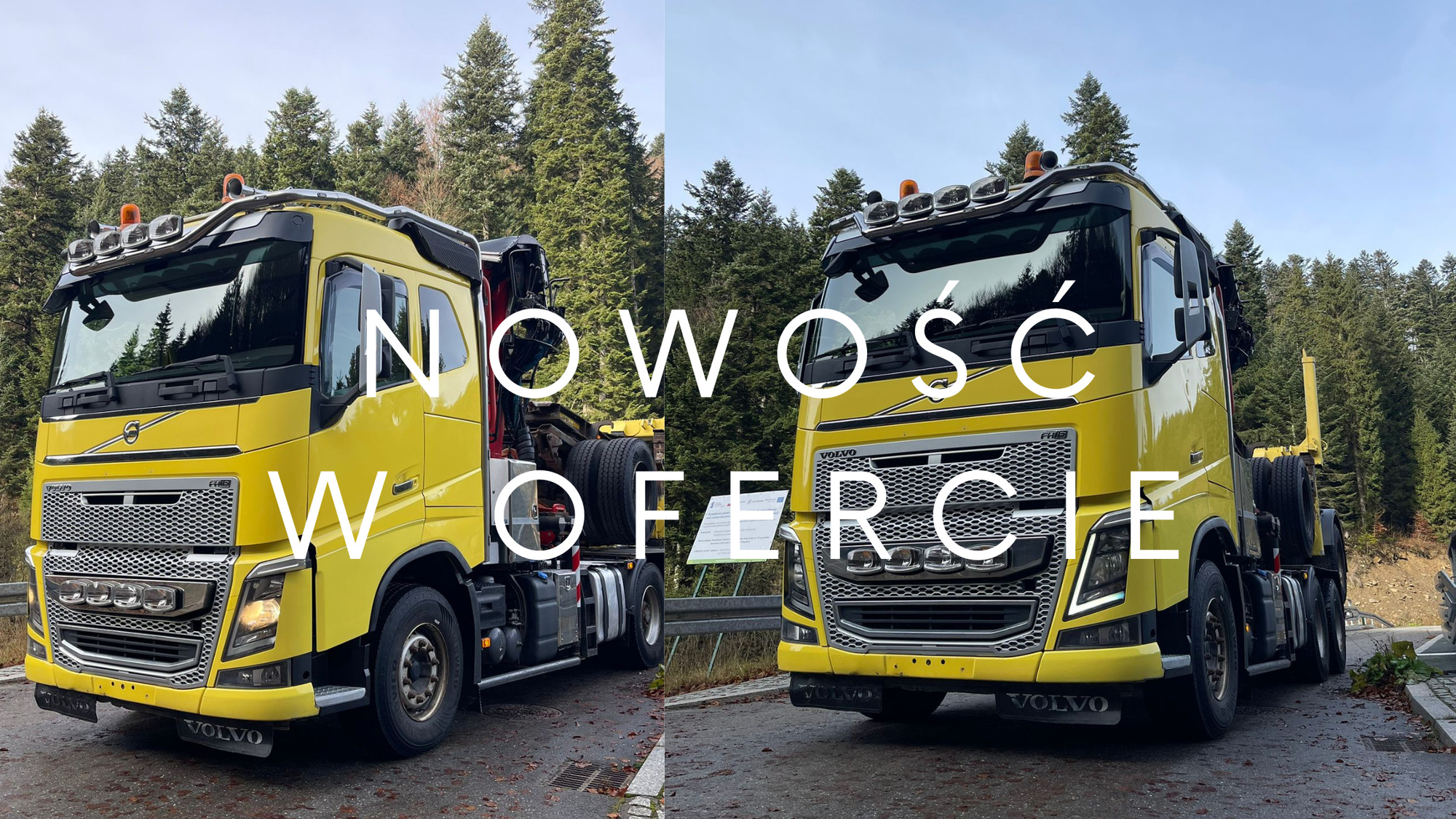 JANUSZKI SC undefined: obrázek 2