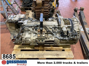 : fotografie hlavičky