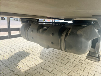 Chladírenský návěs Schmitz Cargobull SKO 24/L-13.4 FP 25 SKO 24/L-13.4 FP 25 45 COOL, Mega, Doppelstock: obrázek 4