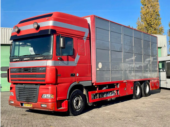 Přepravník zvířat DAF XF 95 430