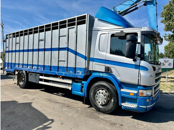 Přepravník zvířat SCANIA P 310