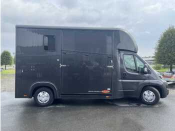 Auto na přepravu koní FIAT