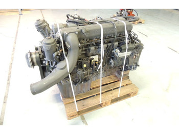 : fotografie hlavičky