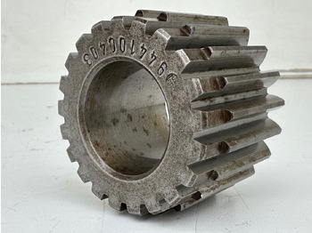 : fotografie hlavičky