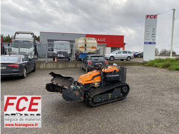 : fotografie hlavičky