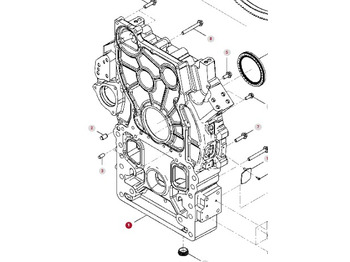 : fotografie hlavičky