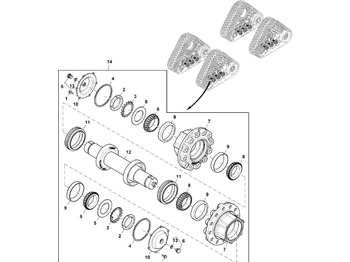 : fotografie hlavičky