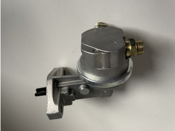 : fotografie hlavičky