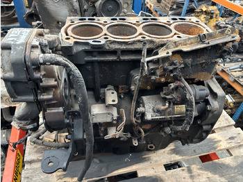 : fotografie hlavičky