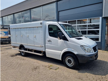 Chladící dodávka MERCEDES-BENZ Sprinter 313