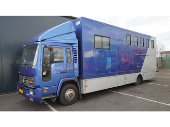 Volvo FL 6-9 HORSE TRANSPORT 341.000KM MANUAL GEARBOX leasing Volvo FL 6-9 HORSE TRANSPORT 341.000KM MANUAL GEARBOX: obrázek 3