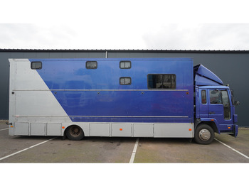 Volvo FL 6-9 HORSE TRANSPORT 341.000KM MANUAL GEARBOX leasing Volvo FL 6-9 HORSE TRANSPORT 341.000KM MANUAL GEARBOX: obrázek 2
