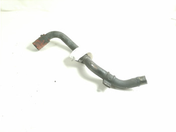 : fotografie hlavičky