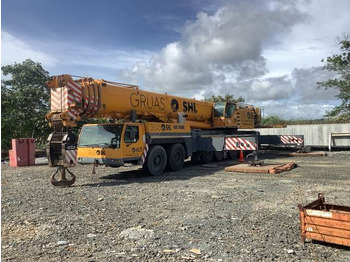 Univerzální autojeřáb LIEBHERR