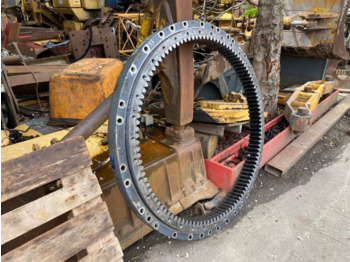 : fotografie hlavičky