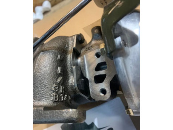 : fotografie hlavičky