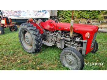 Traktor MASSEY FERGUSON