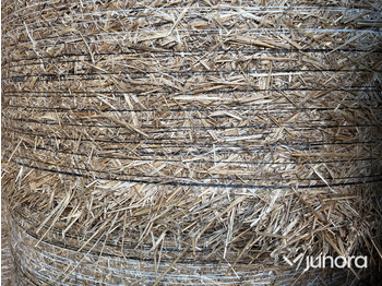 Zařízení pro chov skotu Ströbäddshalm - 40st: obrázek 5