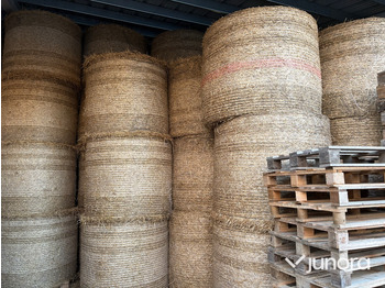 : fotografie hlavičky