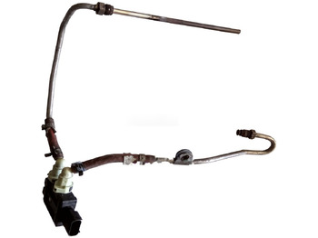 : fotografie hlavičky