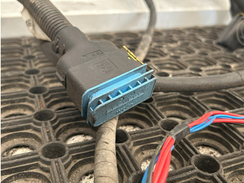 Výfukový systém DAF CF EURO 6 CATALYTIC CONVERTER WIRING HARNESS: obrázek 3