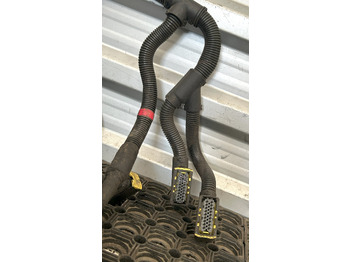 Výfukový systém DAF CF EURO 6 CATALYTIC CONVERTER WIRING HARNESS: obrázek 2