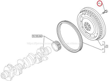 : fotografie hlavičky