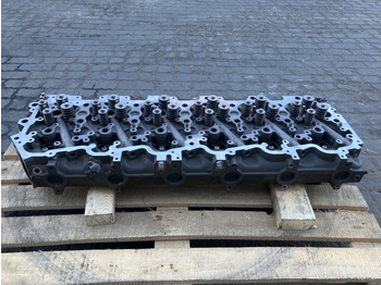 : fotografie hlavičky