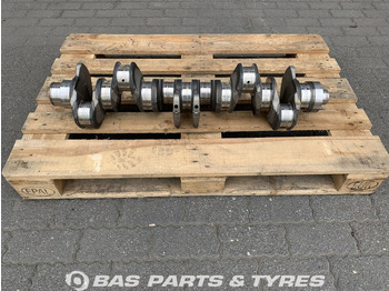 : fotografie hlavičky