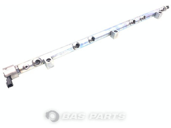 : fotografie hlavičky