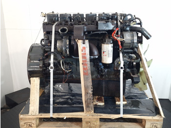 Motor pro Nákladní auto Cummins/DAF 6BT/306 Engine (Truck): obrázek 4
