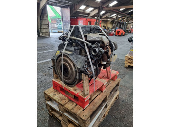 : fotografie hlavičky