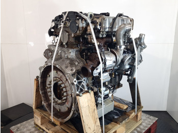 : fotografie hlavičky